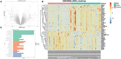 Systematic Bioinformatics Analysis Based on Public and Second-Generation Sequencing Transcriptome Data: A Study on the Diagnostic Value and Potential Mechanisms of Immune-Related Genes in Acute Myocardial Infarction